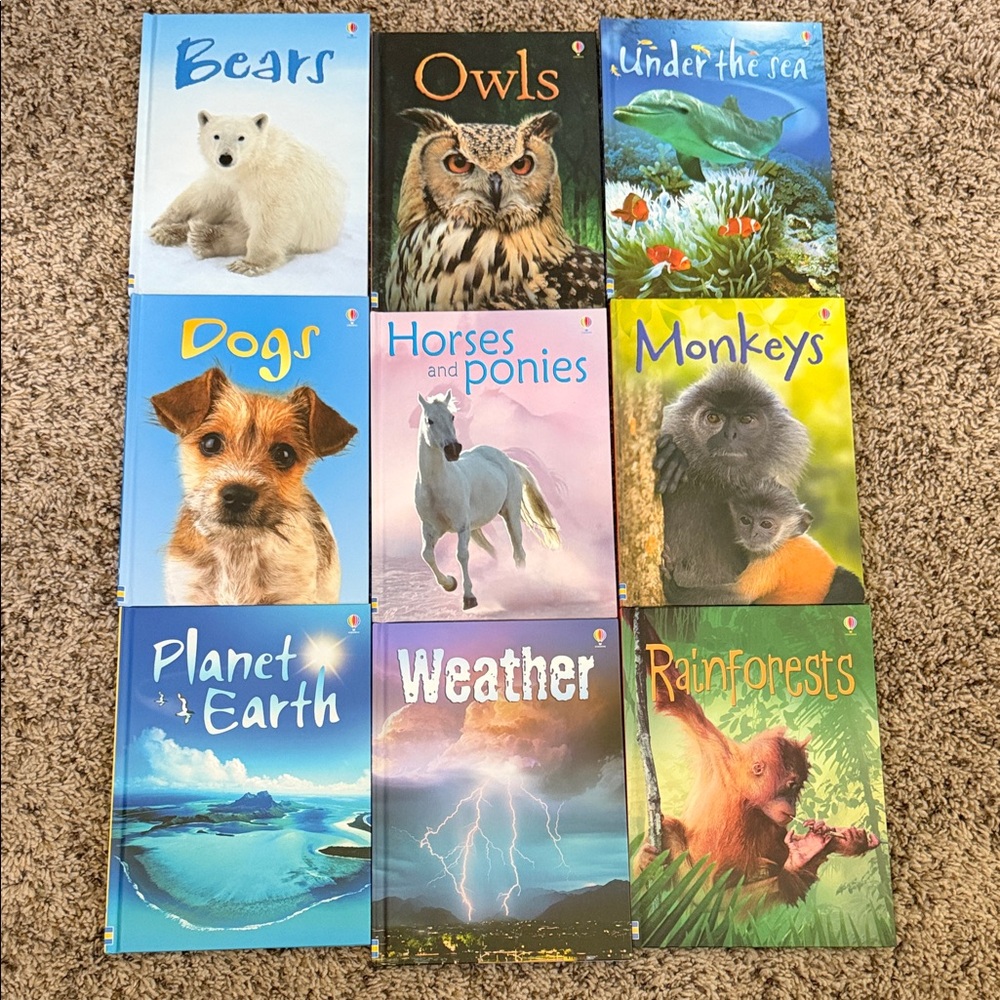 Children's Animal & Nature Book Set - Blue, Green, Yellow Covers